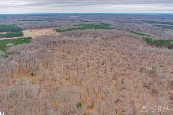 Frederic, MI 49733,0 Outback Trail