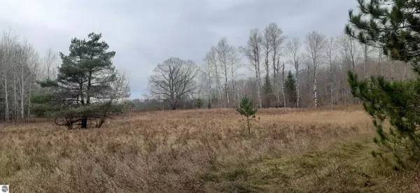 0 E Wissmiller Road, Greenbush, MI 48738