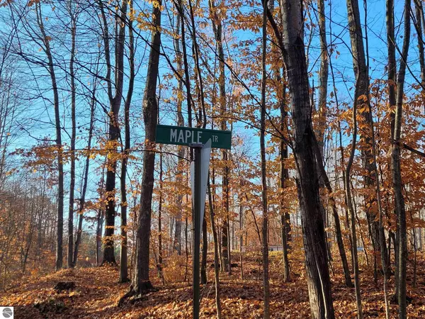 Leroy, MI 49655,Lot 42 & 43 Maple Trail