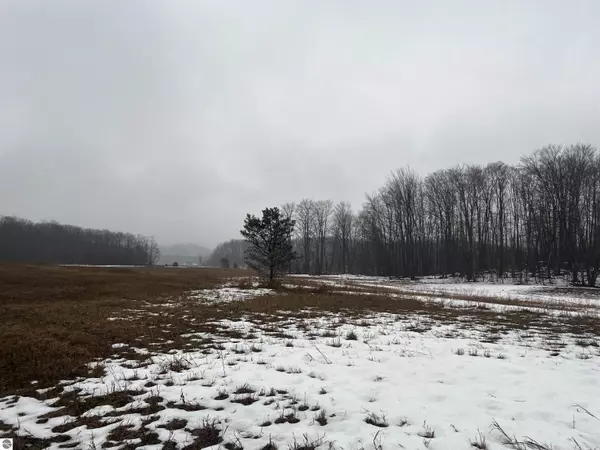 Carp Lake, MI 49718,XXX W Gill Road