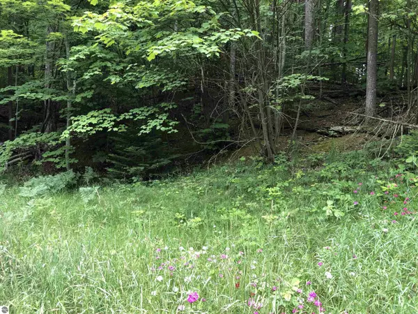 #20 N Country Club Drive, Charlevoix, MI 49720