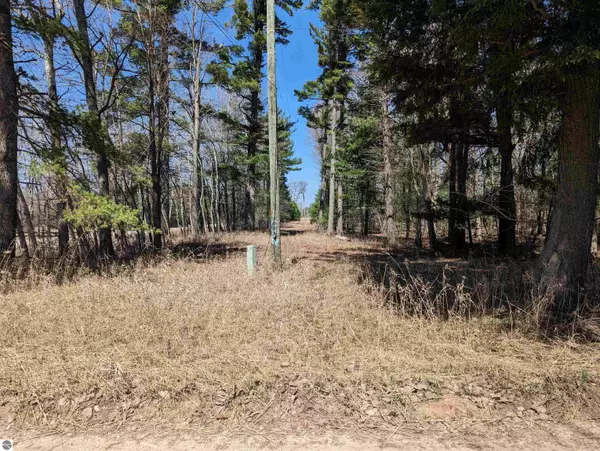 Harrisville, MI 48740,5011 E Wallace