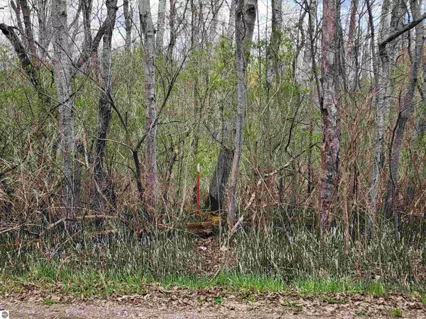 Omer, MI 48749,0 River Road