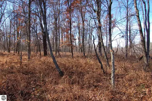 Falmouth, MI 49632,5401 S Jeffs Road