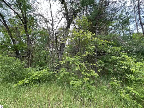 Prescott, MI 48756,00 Maybelle Street