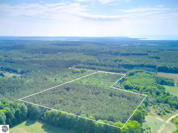 00 Valley Road, Honor, MI 49640