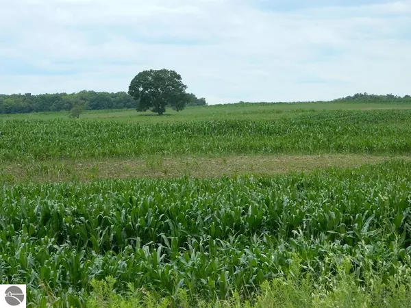 5900 S Coldwater Road, Remus, MI 49340