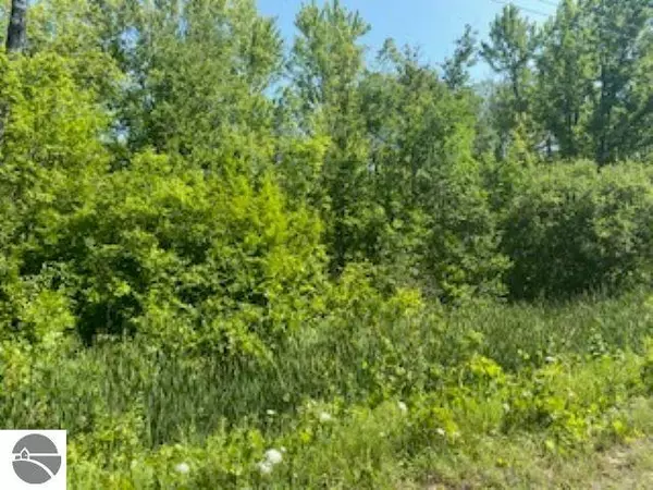Thompsonville, MI 49683,17568 Lindy Road
