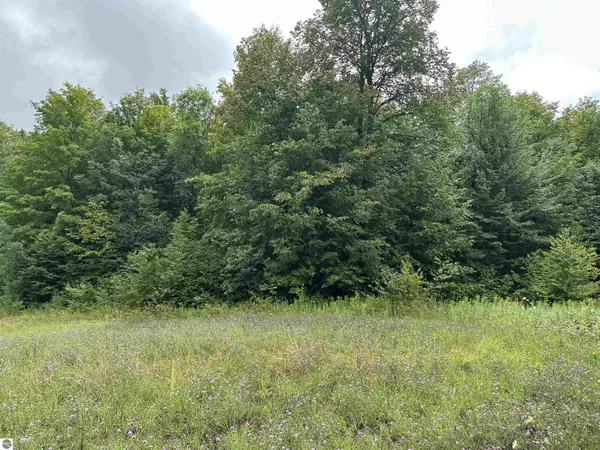 Mancelona, MI 49659,6125/6151 Cunningham Road