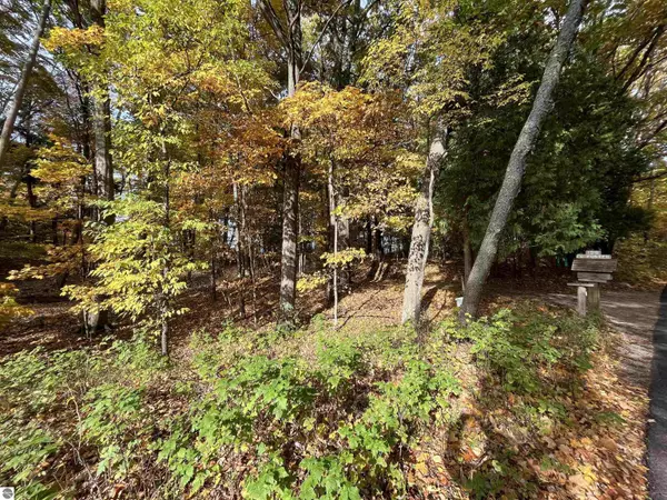 7 Beach Road, Frankfort, MI 49635