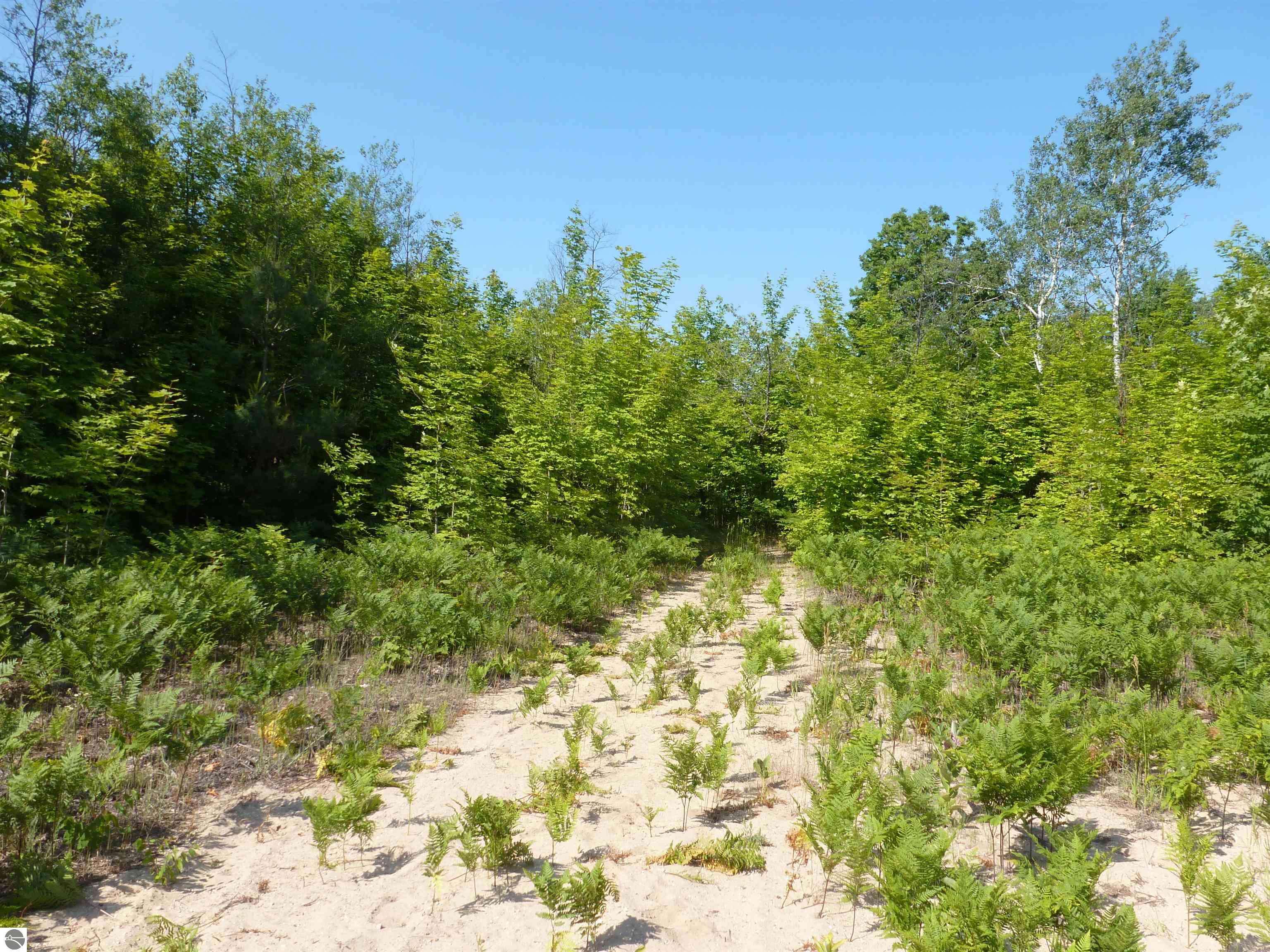 Kalkaska, MI 49646,000 Summit Road