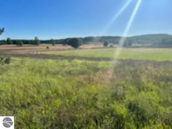 5061 N Brown Road, Manton, MI 49663