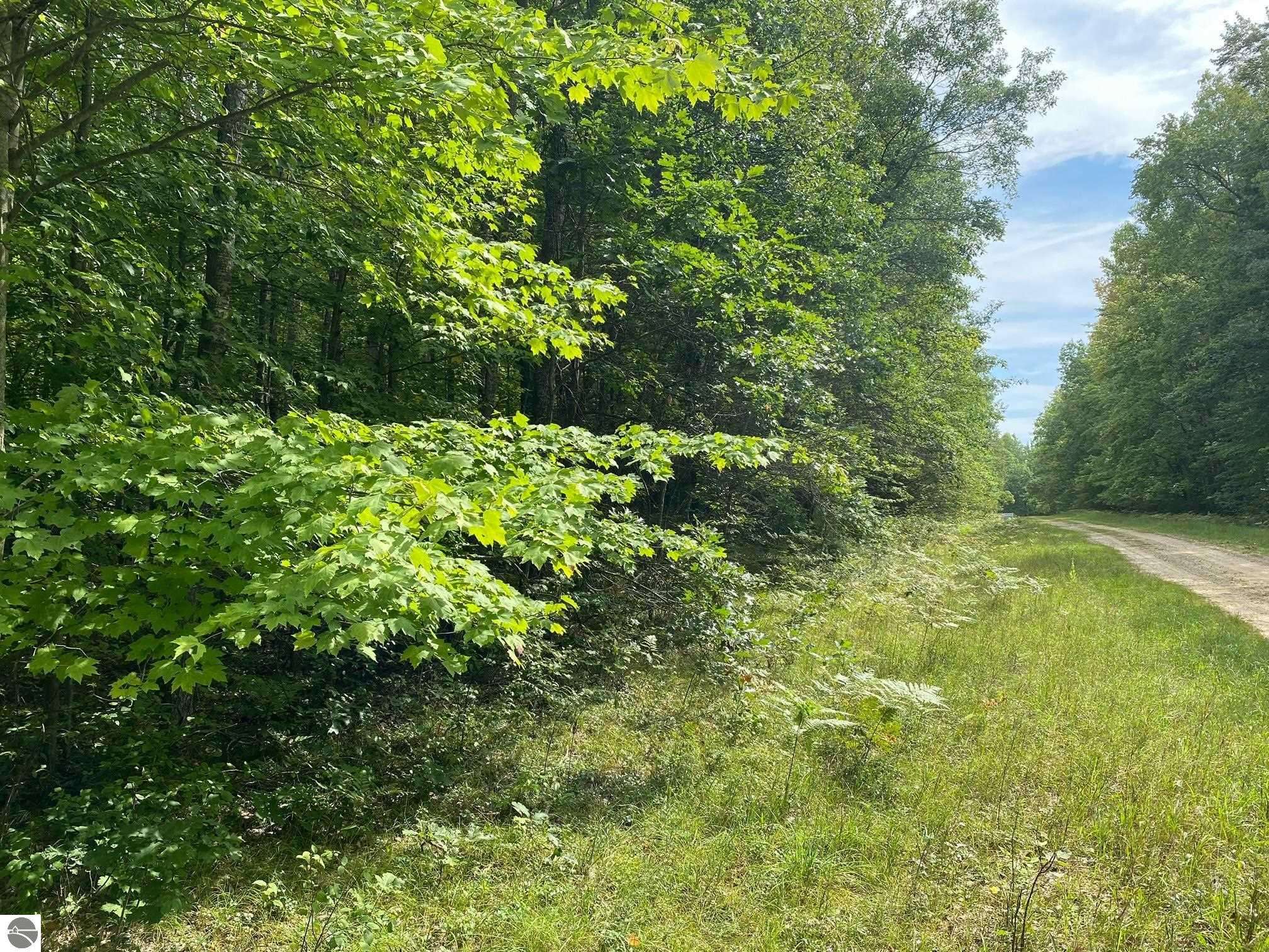Basel Road, Reed City, MI 49677