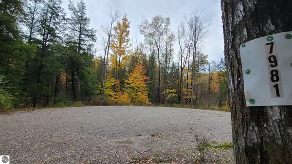 7981 Aldrich Road, South Branch, MI 48761