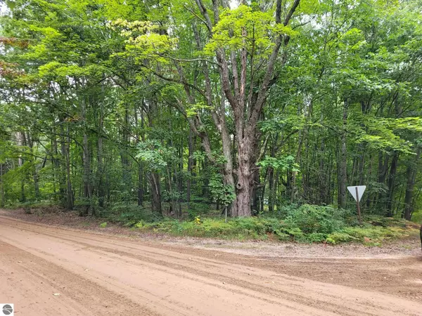 Lot 30 Middle Trail, Leroy, MI 49655