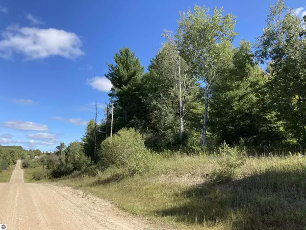 Rose City, MI 48654,V/L Reasner Road