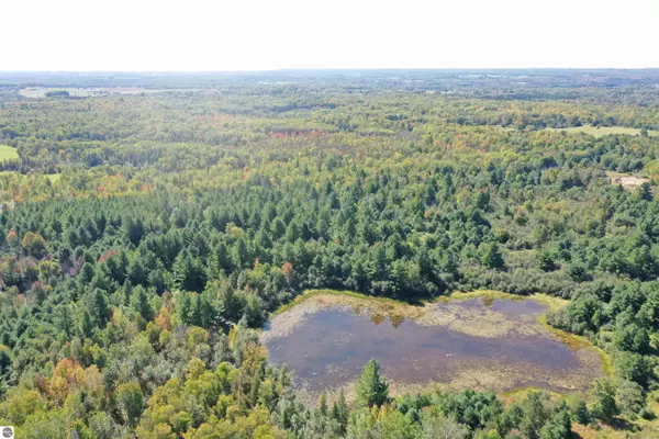 V/L Reasner Road, Rose City, MI 48654