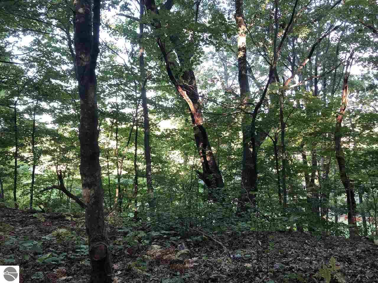 Frankfort, MI 49635,LOT 122 Crystal Downs Drive