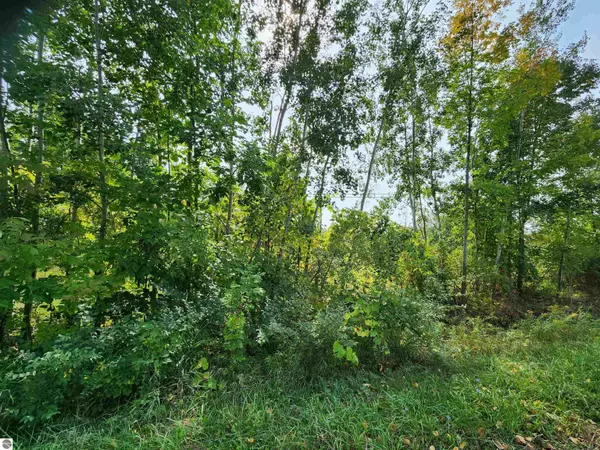 Kewadin, MI 49648,Lot 5 Sutter Road