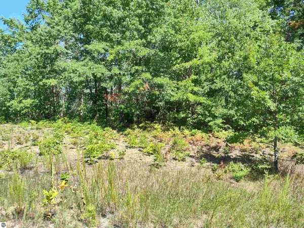 Farwell, MI 48622,Lot 7 N Circle E