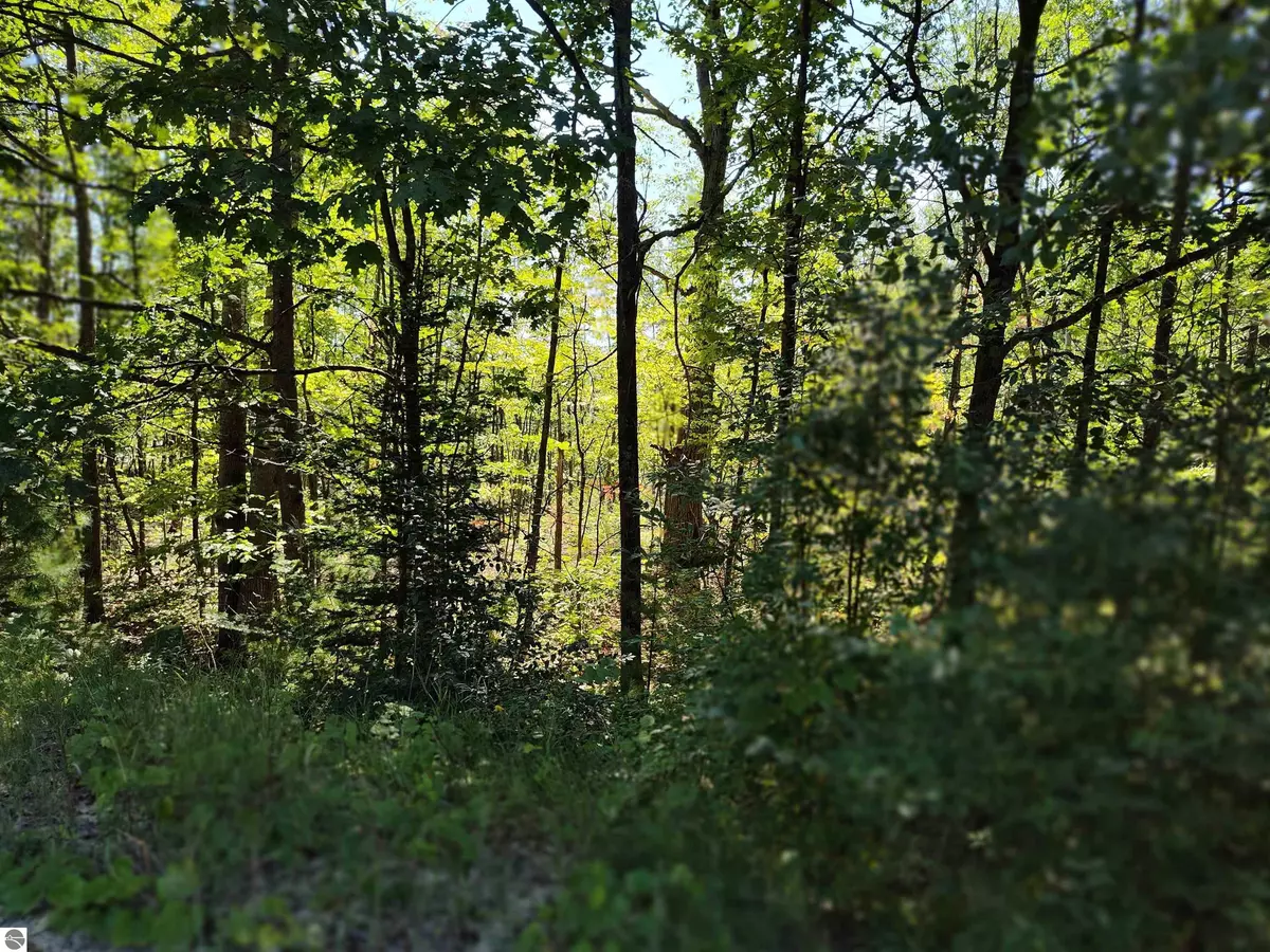 Farwell, MI 48622,Lot 12 N Circle E