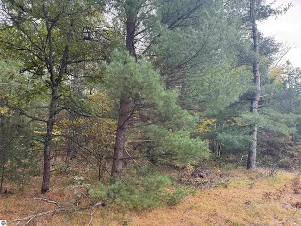 Prescott, MI 48756,00 Rifle River Trail