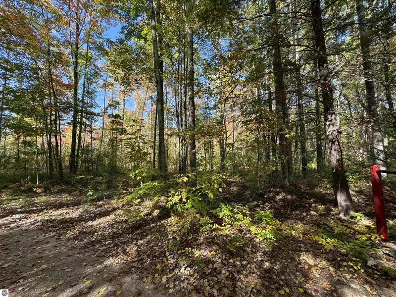 00 Cranberry Lake Road, Prescott, MI 48756