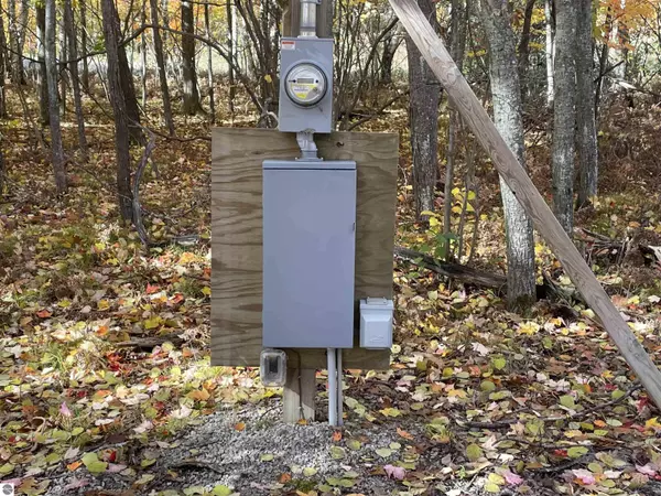 Rose City, MI 48654,N/A W Heath Road