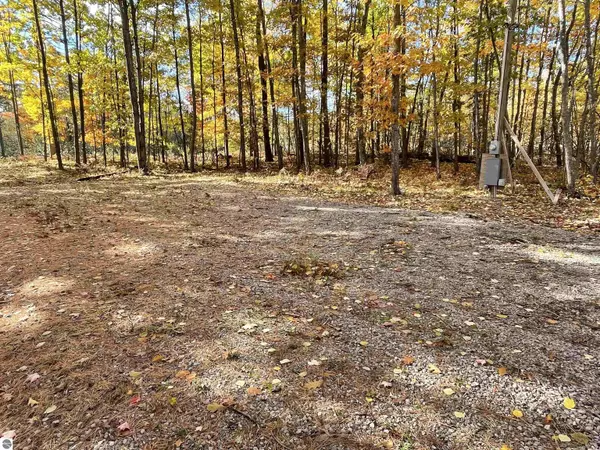 Rose City, MI 48654,N/A W Heath Road