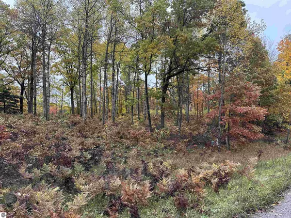 Farwell, MI 48622,Lot #5 N Circle E