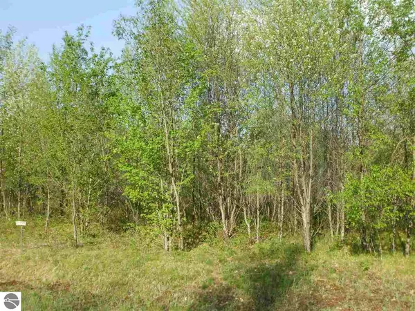 Cadillac, MI 49601,Lot 41 Spring Valley Drive