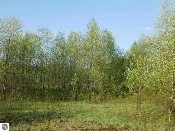 Cadillac, MI 49601,Lot 47 Sweetwater Drive