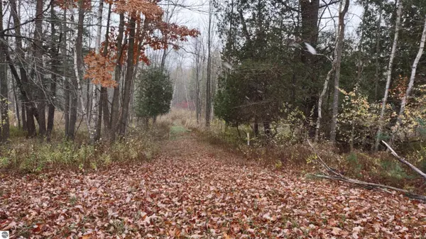 2395 11 Mile Road, Remus, MI 49340