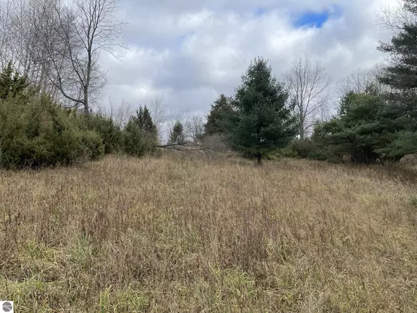 N/A Heath Road, Rose City, MI 48654