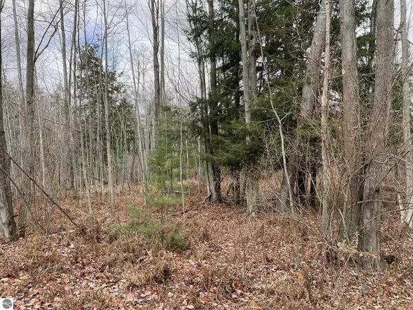 Rose City, MI 48654,N/A Heath Road