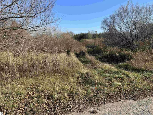 Elberta, MI 49628,Robarge Street