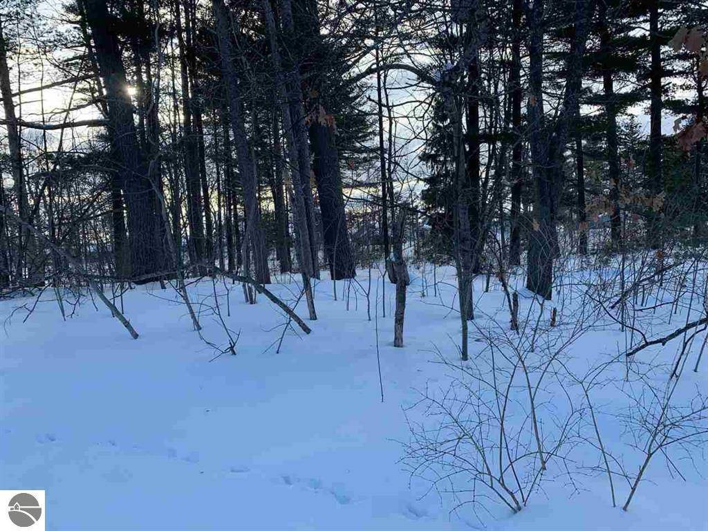 Lake City, MI 49651,VL S Lakeshore Drive