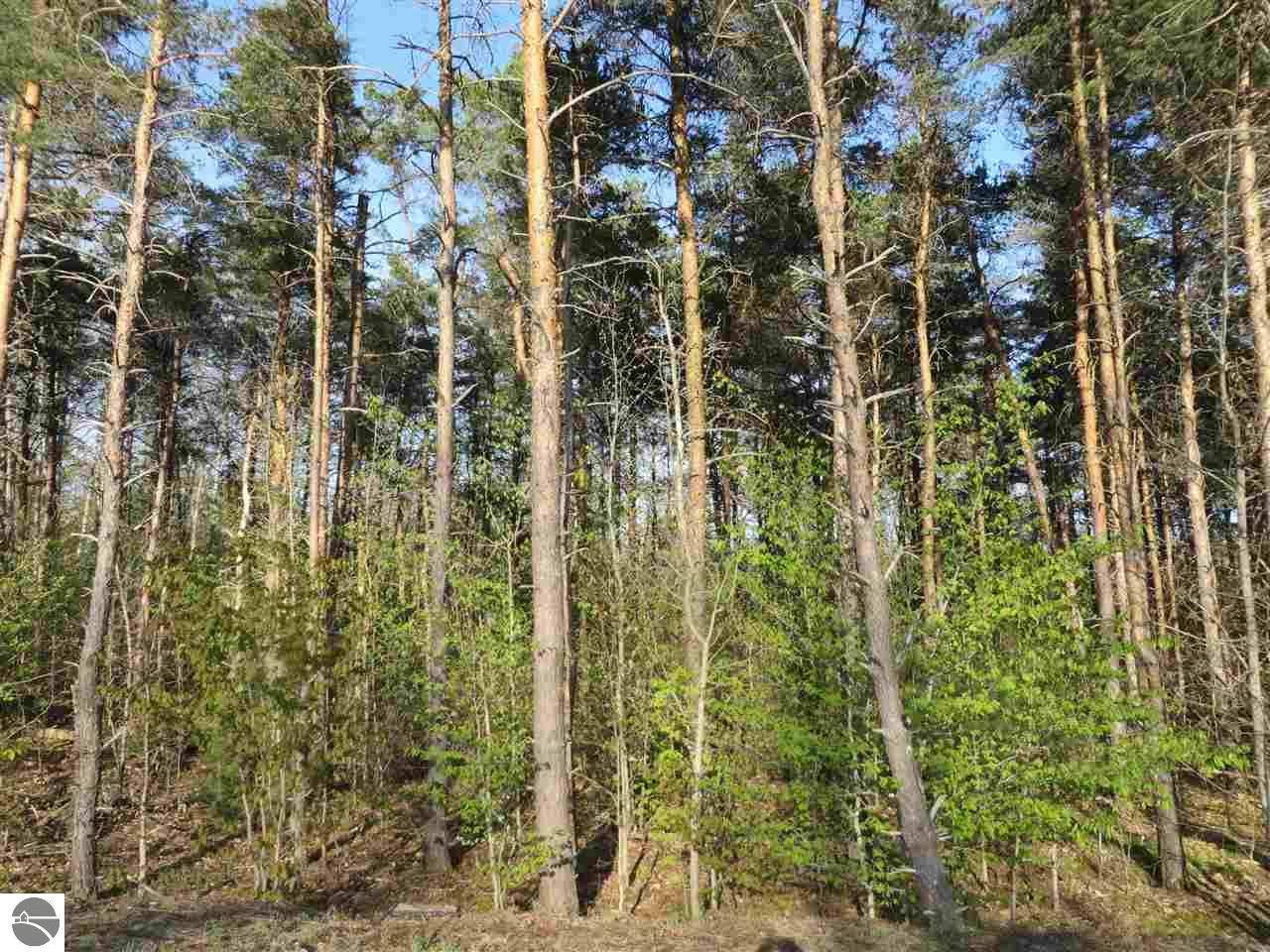 Fife Lake, MI 49633-000,0 Spruce Hollow Trace
