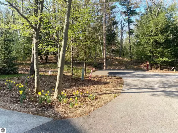 Glen Arbor, MI 49636,11 Pine Trace