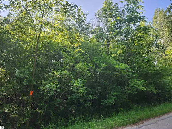 00 S Michigan Avenue, Omer, MI 48749