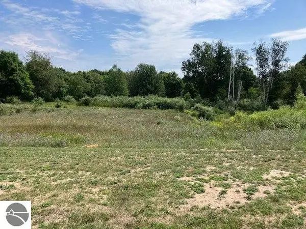Benzonia, MI 49616,00 S Park