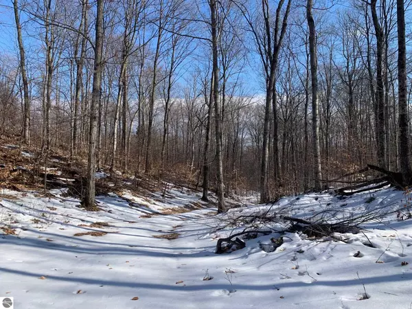 Maple City, MI 49664,10 S Wheeler Road