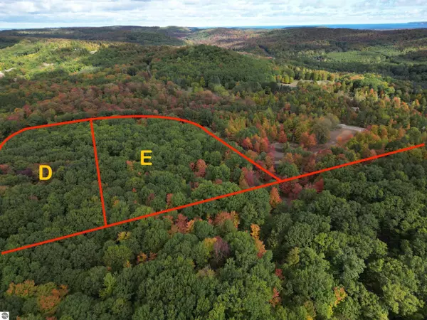 Maple City, MI 49664,Parcel E Trumbull Road