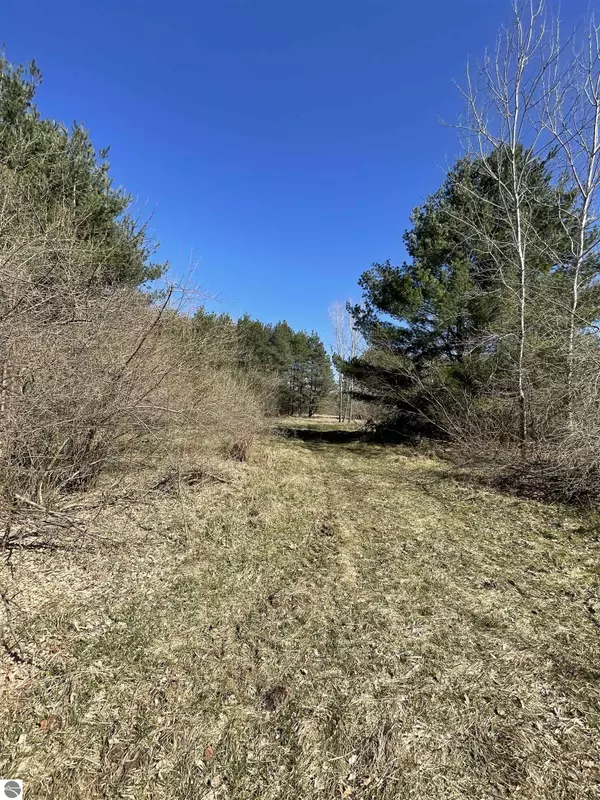 Merrill, MI 48637,TBD S Fenmore Road