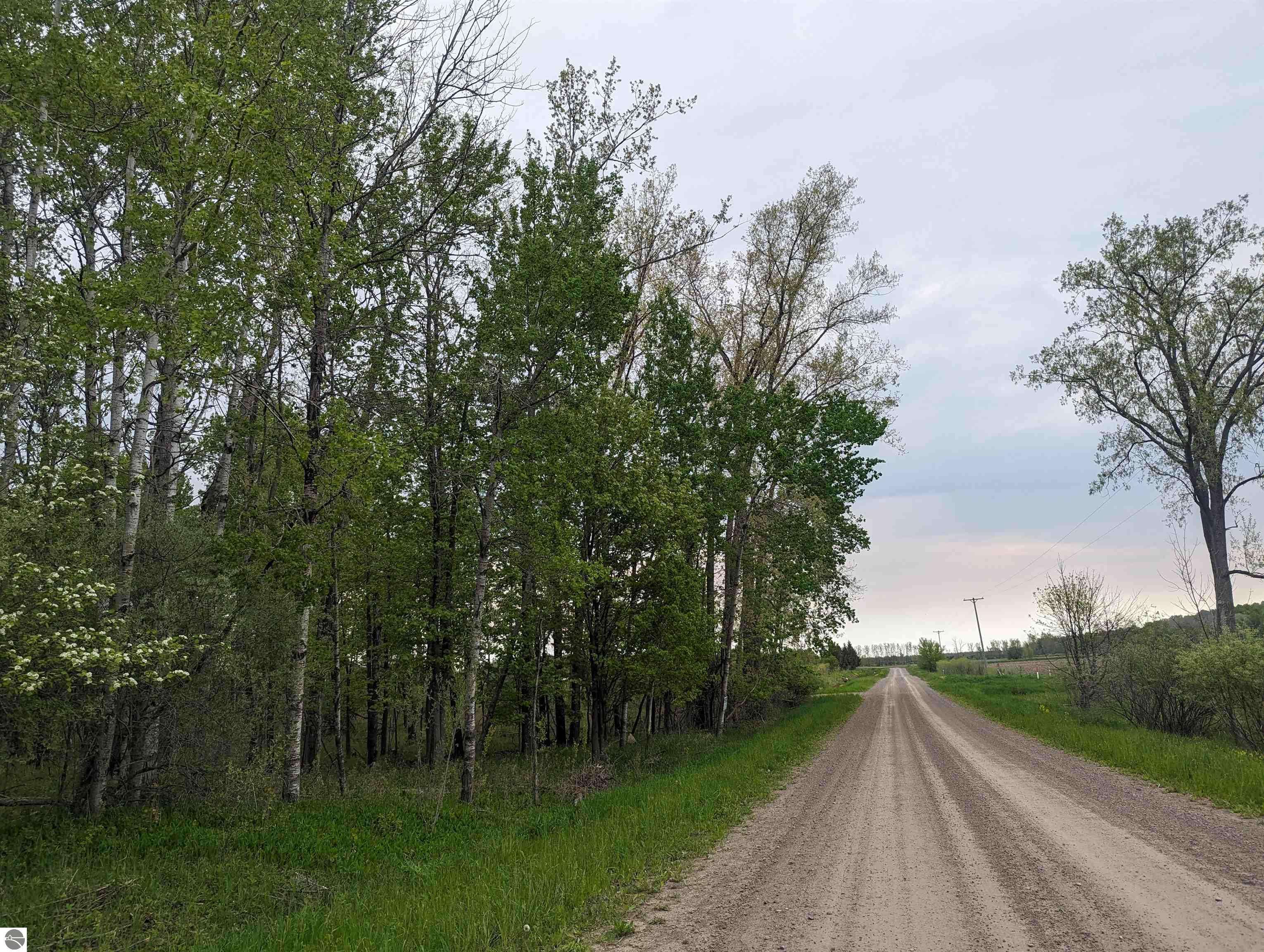 N/A Lentner Road, Turner, MI 48765