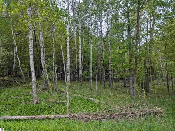 Turner, MI 48765,N/A Lentner Road