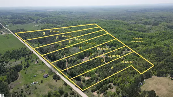 Parcel C 15100 Erwin Road, Copemish, MI 49625