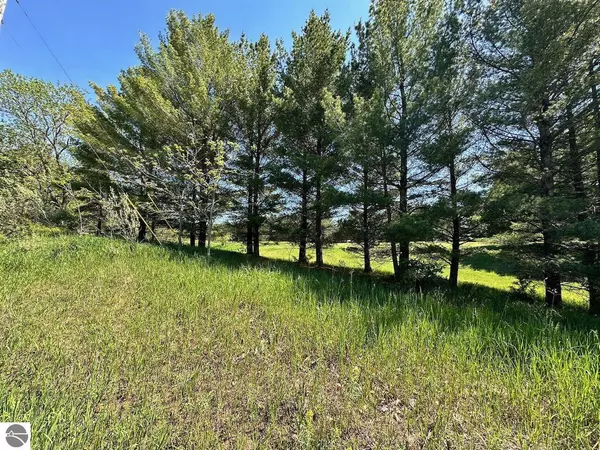 Bellaire, MI 49615,Lot 7 Schoolcraft Road