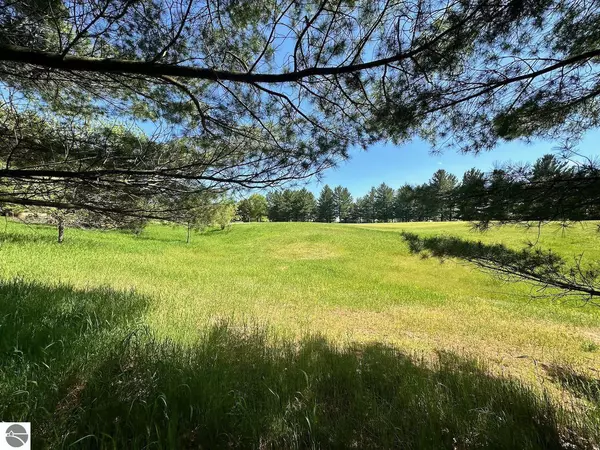 Bellaire, MI 49615,Lot 7 Schoolcraft Road