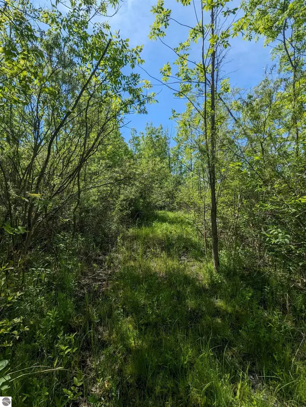 Au Gres, MI 48703,N/A Santiago Road